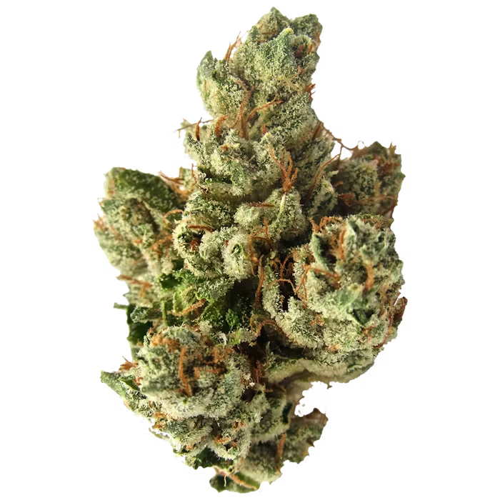 SFV OG THCa