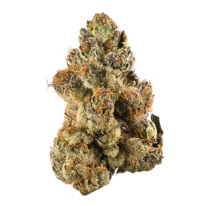 Gelato 42 THCa
