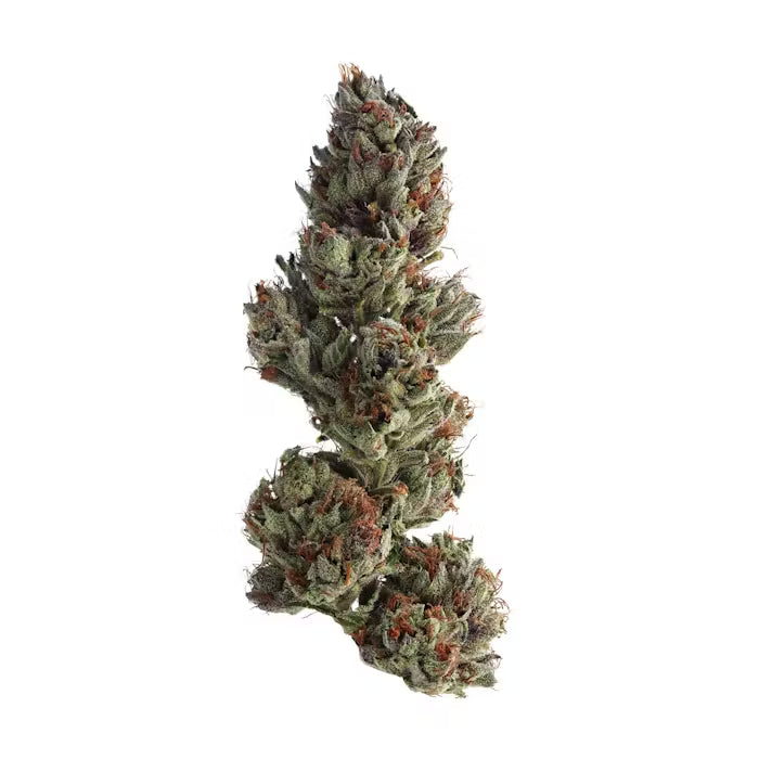 Animal Runtz THCA