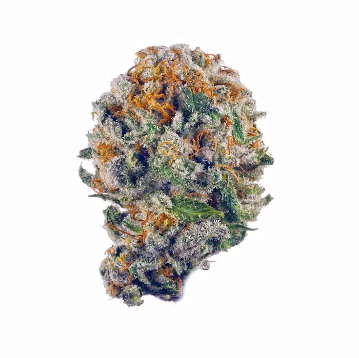 Purple Gelato THCa