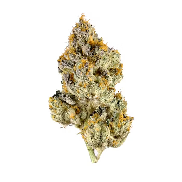 Lemon Cherry Gelato Small Buds THCa