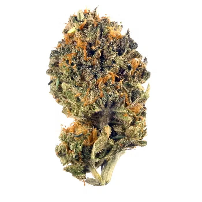 Purple Zkittlez THCa