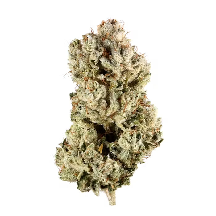 Sex Panther THCa